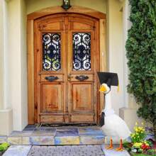 2pcs Graduation Porch Goose Outfits For Plastic And Cement Goose 23"/ 17'' Lawn Goose Statue Clothes Graduation Hat And Bowknot Goose Costume For Graduation Party Yard Lawn Indoor Outdoor
