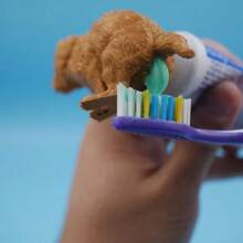 [1 Pacote] Dispensador de Pasta de Dente Engraçado de Cocô de Filhote de Cachorro, Brinquedo Spoof, Cabeça de Pasta de Dente, De Volta às Aulas