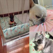 1PC Dog Cooling Mat Large Cooling Pad Summer Pet Bed For Dogs Cats Kennel Pad Breathable Pet Self Cooling Blanket Dog Crate Sleep Mat Machine Washable