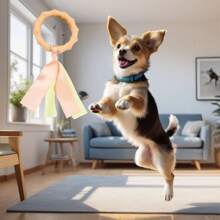 Neue Geschenke für Katzen/Hundeliebhaber und Katzen/Hundebesitzer-Liebe Haustierspielzeug, schwimmende Geschenke für Katzen/Hundeliebhaber und Katzen/Hundebesitzer-Liebe Haustierspielzeug, Kauknochen für Hundeliebhaber und Hundebesitzer-Liebe, Beißgummi und Zahnreinigung für Katzenliebhaber und Katzenbesitzer-Liebe