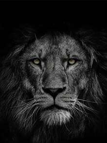 Plus Size Men's Short Sleeve T-Shirt With Vivid Lion Head Graphic On Black Background, Breathable And Stylish - Multicolor - View 6