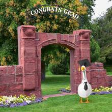 2pcs Graduation Porch Goose Outfits For Plastic And Cement Goose 23"/ 17'' Lawn Goose Statue Clothes Graduation Hat And Bowknot Goose Costume For Graduation Party Yard Lawn Indoor Outdoor