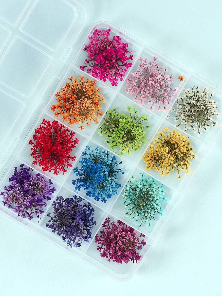 1盒/48件彩色3D干花美甲装饰 - DIY创意压花美甲用品，适合春夏季，女士充满活力的美甲配件