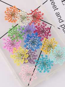 1盒/48件彩色3D干花美甲装饰 - DIY创意压花美甲用品，适合春夏季，女士充满活力的美甲配件