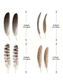 24pcs 4 Styles Natural Spotted Feathers, 6-8 Inches, Bulk For Craft, Jewelry, DIY Decoration