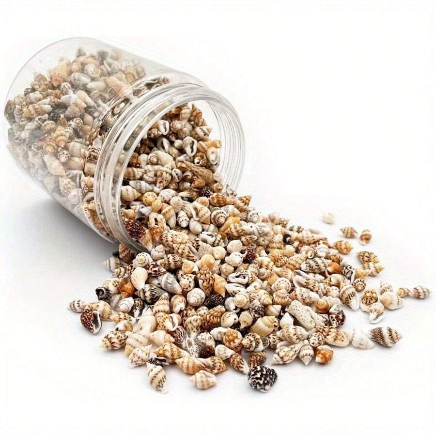 1 paquete de 30g/60g de especímenes de pequeños caracoles marinos naturales surtidos - para decoración del hogar, mesa, acuario, terrario, reemplazo de concha para peces/cangrejo ermitaño