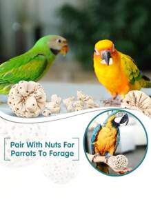 1 pieza Pelota de paja de mar para morder del loro, juguete para afilar el pico, apropiado para loros, cacatúas, guacamayos, agapornis, periquitos, canarios y otras aves pequeñas, suministros de aves inteligentes, juguete para loros, suministros para aves, pelota de enriquecimiento para la cacatúa