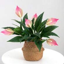 42cm Tropical Monstera Artificial Plants Fake Anthurium Tree Branch Plastic Leaves Real Touch Desktop Palm Tree For Home Decor