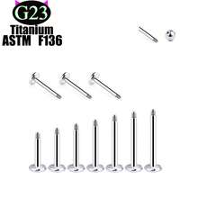 "5-Piece Punk Nose Ring Set – 14K Gold Plated Unisex Nose Piercing Jewelry For Women & Men"16G 18G