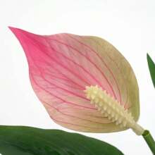 42cm Tropical Monstera Artificial Plants Fake Anthurium Tree Branch Plastic Leaves Real Touch Desktop Palm Tree For Home Decor