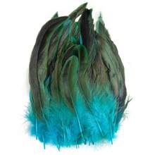15-20厘米真野鸡羽毛工艺品 DIY 嘉年华配件 50 件装鸡毛手工艺品珠宝装饰羽毛