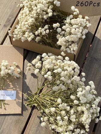 1 Box Of Dried Babysbreath Flowers, Natural Gypsophila Branches For Party Table Vase, Garden Office Wedding Home Gifts And DIY Wreath Floral Arrangements