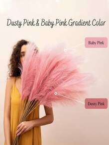 Rosa und weiße Farbverlaufsfarbe