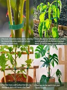 200pcs Reusable 6-Inch Adjustable Non-Slip Nylon Plant Ties With Hook And Loop Fasteners, Green, Ideal For Climbing Plants, Support, And Gardening Applications, Garden Maintenance | Functional Gardening Tool | Secure Fastening