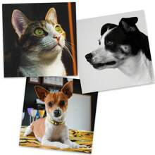 Impresiones fotográficas personalizadas de la mejor calidad - Impresiones de 4x6, 5x7 y cuadradas, captura tus momentos inolvidables, excelentes para decoración, accesorios y regalos de días festivos como el Día de la Madre, Día del Padre, salón de té, hogar, jardín, oficina, aniversarios, San Valentín, Día de la Madre, cumpleaños, Día del Padre, graduación, bodas, inauguración de casa
