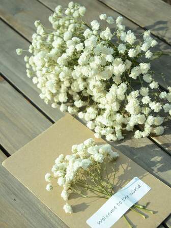 50/70/100/300 Pcs Or 50/150g Mini Baby's Breath Flowers And Other Dried Flowers - For Resin Mold Art Craft, Ivory White Flowers Bouquet For Hair Accessory, Wedding Wreath, Table Vase, Home Decor