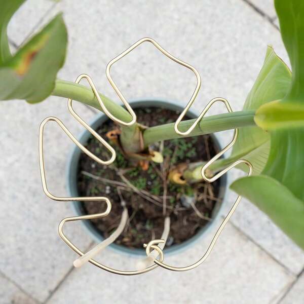 Pflanzenstamm-Halterung - Haltbarer Monstera-Stabilisator-Greifhalter, einzigartiges Design für kletterpflanzen, Schildkröten-Schale Bambusklammer Set, ideale Pflanzenunterstützung für üppiges Wachstum