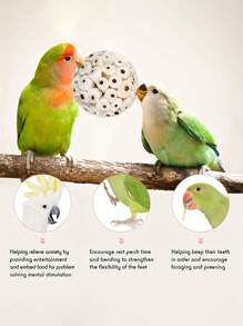 1 pieza Pelota de paja de mar para morder del loro, juguete para afilar el pico, apropiado para loros, cacatúas, guacamayos, agapornis, periquitos, canarios y otras aves pequeñas, suministros de aves inteligentes, juguete para loros, suministros para aves, pelota de enriquecimiento para la cacatúa