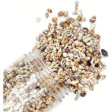 1 paquete de 30g/60g de especímenes de pequeños caracoles marinos naturales surtidos - para decoración del hogar, mesa, acuario, terrario, reemplazo de concha para peces/cangrejo ermitaño