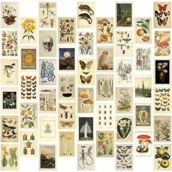 50pcs Vintage Plant, Butterfly, Mushroom Nature Postcards Collection Set, Ideal For School/Room Decoration, Ephemeral Aesthetics, Wall Collage Art Kit, Aesthetic Pictures, Posters, Stickers, Wall Art, Spring Decoration Items Refresh Your Home, Festival Decoration Stickers Gifts Birthday Graduation