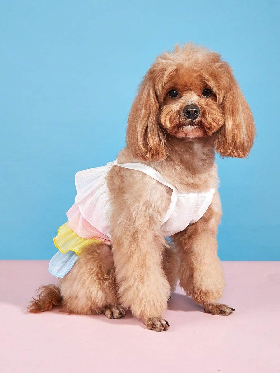 Nuevo vestido lindo para mascotas, falda de malla arcoíris, adecuado para todas las estaciones - Multicolor - Ver 1