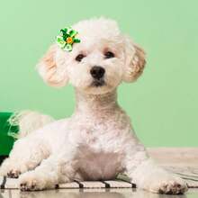 Pet Hair Accessories - Multicolor - View 2