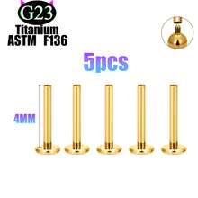 "5-Piece Punk Nose Ring Set – 14K Gold Plated Unisex Nose Piercing Jewelry For Women & Men" 20G 18G 16G Earrings, Lip Rings, And Body Piercing Jewelry Accessories