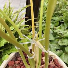 4pcs Plant Stem Support Holder, Gardening Accessories, Branch Organizing Rack, Anti-Lodging Plant Support, Plant Stem And Leaf Fixture, Vegetation Decoration, Plant Stem Parts - Green - View 8