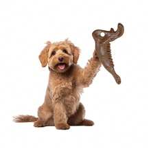 Prezent dla miłośników psów i kotów, a także zabawki dla zwierząt domowych uwielbiane przez mamy psów i kotów, nowe rogi z włókien roślinnych, interaktywne ćwiczenia, odporne na zużycie i gryzienie, symulacja wycieku jedzenia, patyczki do gryzienia, rogi Prezent dla miłośników psów i kotów, a także zabawki dla zwierząt domowych uwielbiane przez mamy psów i kotów - Beżowy - Zobacz 5