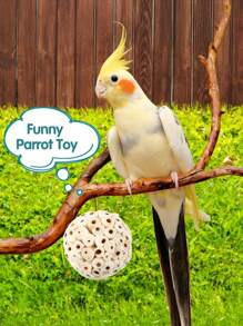 1 pieza Pelota de paja de mar para morder del loro, juguete para afilar el pico, apropiado para loros, cacatúas, guacamayos, agapornis, periquitos, canarios y otras aves pequeñas, suministros de aves inteligentes, juguete para loros, suministros para aves, pelota de enriquecimiento para la cacatúa