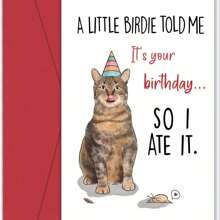 1 Humorous Cat Birthday Card With Envelope - Perfect For Cat And Dog Lovers, Friends And Family - Creative Greeting Card With Vibrant Kitten Design - Multicolor - View 1
