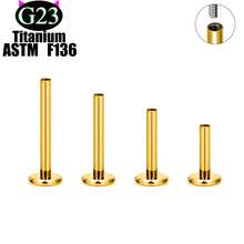 "5-Piece Punk Nose Ring Set – 14K Gold Plated Unisex Nose Piercing Jewelry For Women & Men" 20G 18G 16G Earrings, Lip Rings, And Body Piercing Jewelry Accessories