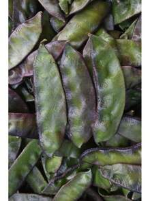 Country Bean  Mayabi Gaddah Bangladeshi Flat Bean 6 Deshi Shim Seeds - 1 - 查看 2