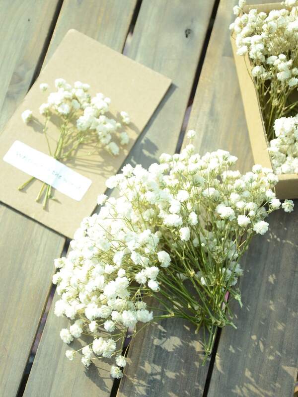 25/50/100/300Pcs Baby's Breath Preserved Flowers, For Scented DIY, Bouquets, Vase Decor, Home Decor, Hair Accessories, Wedding Wreaths