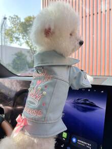 1pc Pet Clothes, Fashionable Casual & Cute Outfit For Small Dogs & Puppies, Comfortable Princess Jacket - Blue - View 5