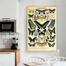 BAEMEFLE Vintage Butterfly & Insect Illustrations - Framed Canvas Art For Home And Office Decor, Perfect For Bedroom And Living Room Walls - Multicolor - View 20