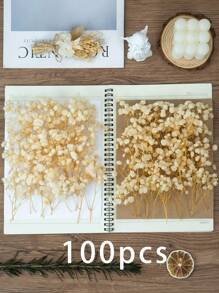 25/50/100/300pcs Preserved Baby's Breath Flowers, For Aromatherapy, Food Decor, Vase Filler, Home Decor, Hair Accessories, Wedding Wreath