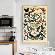 BAEMEFLE Vintage Butterfly & Insect Illustrations - Framed Canvas Art For Home And Office Decor, Perfect For Bedroom And Living Room Walls - Multicolor - View 18