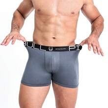 Pitbull American Kit 10 Premium American Pitbull Men's Boxer Briefs - Men's Boxer Briefs - 彩色 - 查看 4
