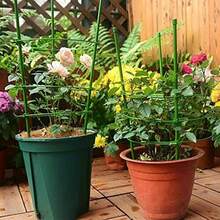 3Pcs Set Adjustable Tomato Cage Plant Support Cages Garden Cucumber Trellis Ring - 1 - View 7