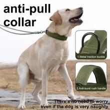 1pc Premium Dog Collar, Tactical Dog Collar With Handle And Heavy Duty Quick Release Metal Buckle, Thick, Adjustable, Reflective, Suitable For Medium To Large Dog Training