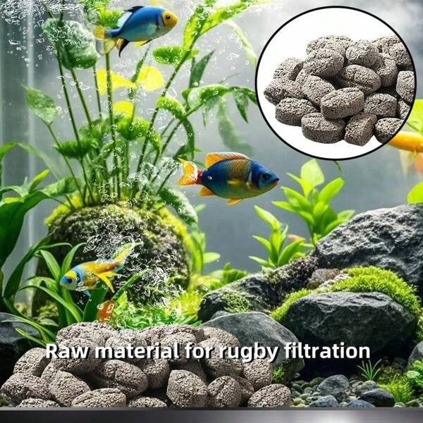 وسيط فلتر خزان الأسماك ، حجر الزيتون الخام ، يقلل من الأمونيا والنتريت ، مزرعة بكتيرية ، دورة النيتروجين ، يثبت الرقم الهيدروجيني ، مواد فعالة لفلتر الأحواض المائية