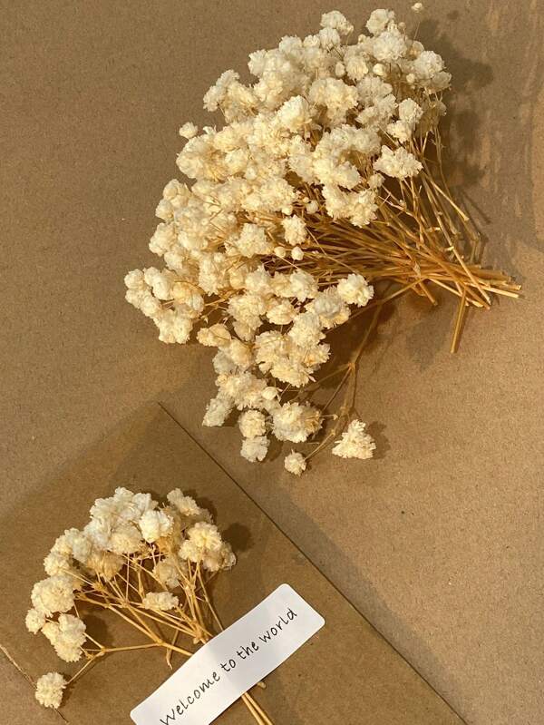 25/50/100/300pcs Preserved Baby's Breath Flowers, For Aromatherapy, Food Decor, Vase Filler, Home Decor, Hair Accessories, Wedding Wreath