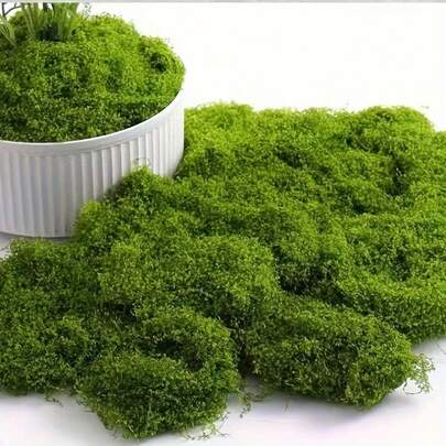 10g/30g 人造苔藓植物 - 亮绿色塑料草，适用于 DIY 工艺品、家居装饰、迷你景观和婚礼装饰
