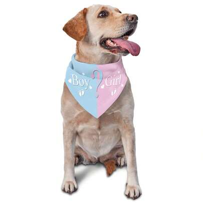 Pañuelo triangular rosa y azul para mascota para revelar el género - decoración para fiesta de revelación de género, sesión fotográfica y anuncio de embarazo