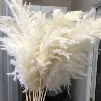 10 knippen 23 tum fluffig pampasgräsdekoration - Boho-stil blombukett, lämplig för hem, bröllop och säsongsbetonad bordsdekoration - perfekt för examen, skolstart, mors dag och julklappar, höstdekoration, höst