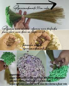 Artificial Flowers - 渴望 - 查看 2