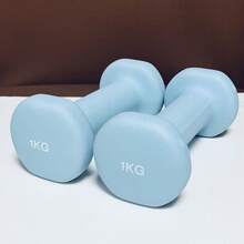 1 Pair Multi-Color Matte Dipped Dumbbell, Solid Cast Iron Dumbbell For Home Workout, Unisex Gym Accessories