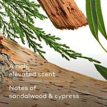 Harry's Men's Body Wash - Wildlands - 30 Fl Oz