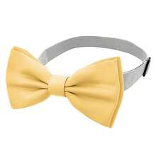 1件可调节领结，男士预系领结，适合派对和休闲场合 - 彩色 - 查看 5